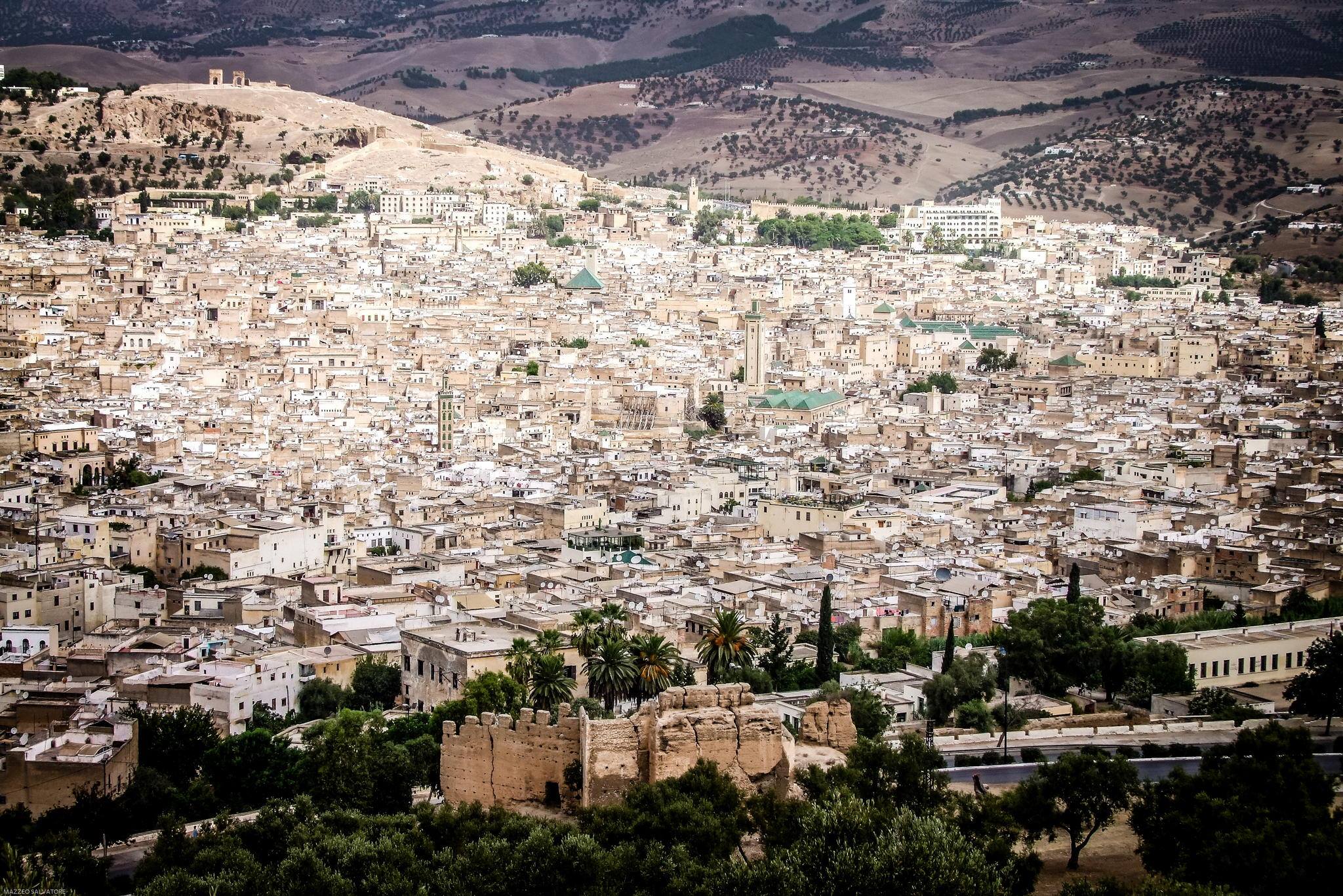 Panoramic view of Fes from the merinid tombs.
