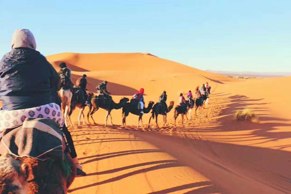 Don't miss the opportunity to ride your camel in the Moroccan Sahara while enjoying sunset and sunrise.
