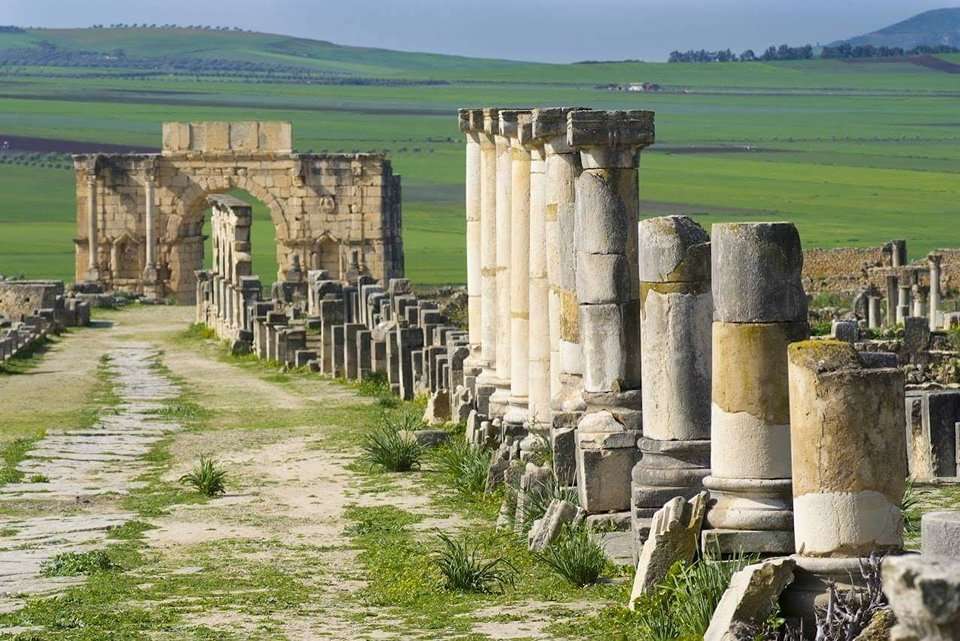 The Pillared Main Street leading up to the Beautifully Preserved Triumphal Arch of Volubilis