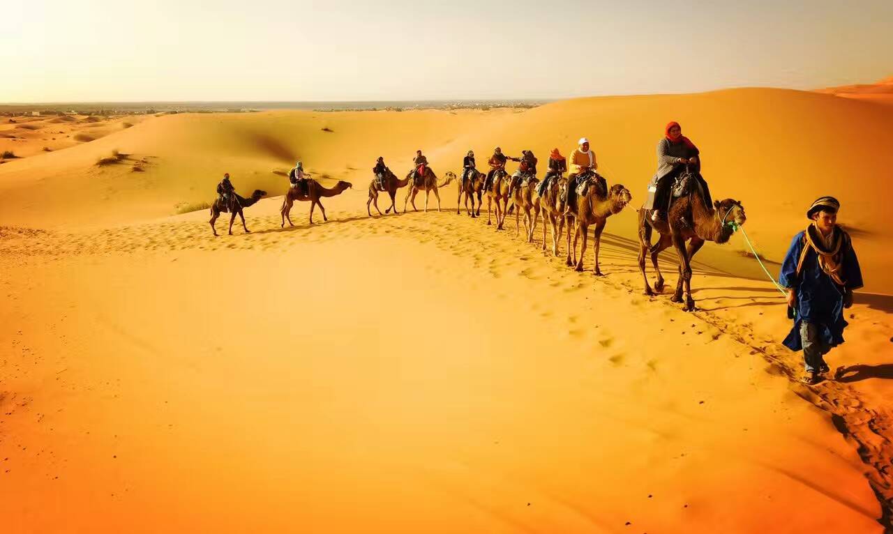 Camel trekking through Merzouga shifting dunes to reach our private berber camp.